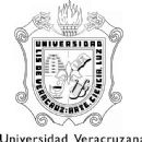 Organizations based in Veracruz
