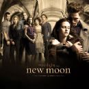Twilight (novel series)