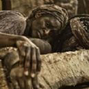 The Bible - Sharon Duncan-Brewster