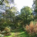 Forests and woodlands of Worcestershire