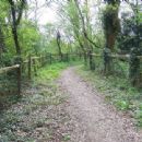 Bridle path