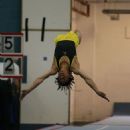 Tumbling (gymnastics)
