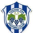 Tochigi Uva FC