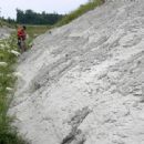 Mesozoic Tennessee