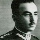 Aleksander Jeljaszewicz