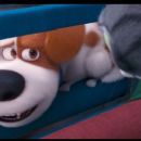 The Secret Life of Pets 2 (2019) - 454 x 255