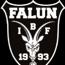 Floorball teams