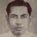 John Davies (archivist)