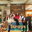 Strays