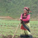 Ethnic groups in Yunnan