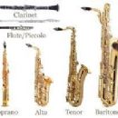 Woodwind musicians