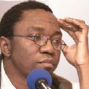 Cameroonian novelists