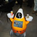 Domestic robot