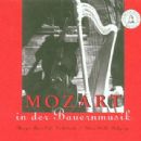 Wolfgang Amadeus Mozart - Mozart in der Bauernmusik
