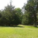 1780s in South Carolina