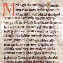 13th century in Danish law