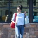 Sarah Silverman – Goes Grocery Shopping In Los Feliz - 454 x 681