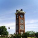 Star City, Arkansas