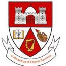 Limerick Institute of Technology