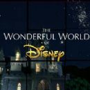 Walt Disney anthology television series