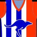 Australian rules football clubs established in 2001