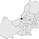 Swansea electoral wards