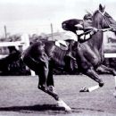 New Zealand Racing Hall of Fame inductees