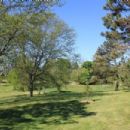 Buhr Park