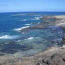 Important Bird Areas of Madeira