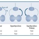 Endocrine procedures