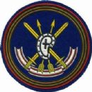 Ballistic missile divisions