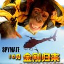 Spymate