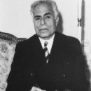 Mirza Javad Khan Ameri