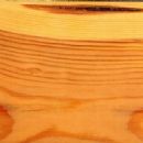 Softwood