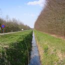 Drainage