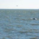 Bodies of water of Georgia (U.S. state)
