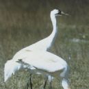 Visitor attractions in Grant County, North Dakota