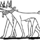 Animal breeds originating in Africa