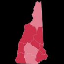 New Hampshire elections, 1920