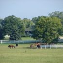 Barrington Hills, Illinois