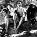 Tarzan the Ape Man - Johnny Weissmuller - 454 x 344