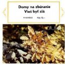 English-language Slovak songs