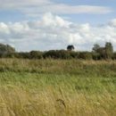 Wetlands of England