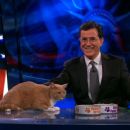 The Colbert Report