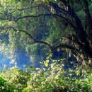 Biosphere reserves of Kenya