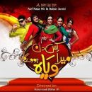 Punjabi-language television shows