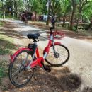 Bicycle sharing in Bangladesh