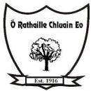 1916 in Gaelic games