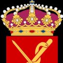Medical units and formations of Sweden