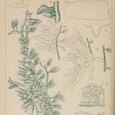 1860 in the environment